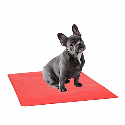 Image of Trance Waterproof Pet Training Pads | Reusable Pee Pad for Dogs Cats Puppy and Pets | Washable Pet Dry Sheet | Potty Trainer | Soft and Hypo-Allergenic (Medium, Size 1 x 0.7 m | 100 x 70 Cms, Coral)