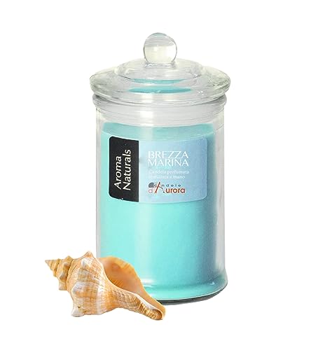 Candela in Vasetto di Vetro con Coperchio, Colore Azzurro, Profumo Oceano, 8x8x15 cm