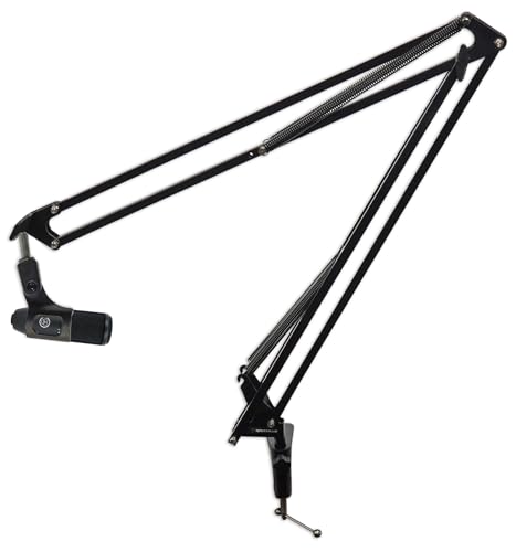 Audiosavings Bundle: AKG P120 Studio Condenser Recording/Live Streaming Microphone Professional Mic Bundle with Rockville DMS40 40