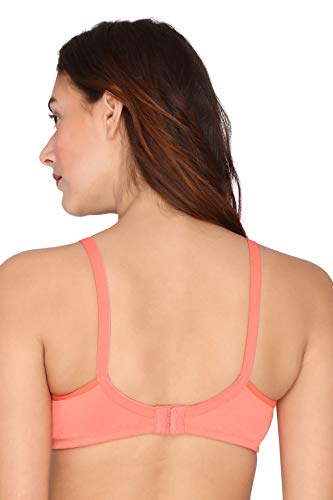 Image of VSTAR Janice Women's Cotton Non-Padded Wire Free Regular Bra | Moulded T-Shirt Bra
