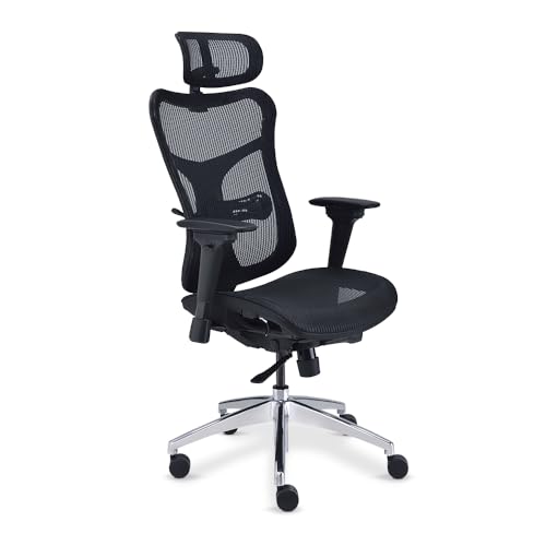 Rand Ergonomic Mesh Executive Chair with Headrest Black Mesh