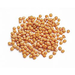 MUSTARD-WHOLE YELLOW