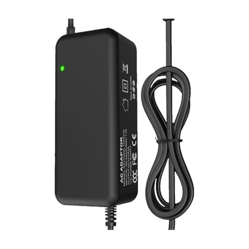 Adaptateur Secteur 24V1A Double Fil avec extrémités Fixes C 3Y pour alimentation d'appareils