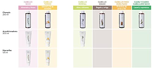 Korres Shampooing Volumateur Protéines de Riz et Tilleul 250 ml Lot de 2