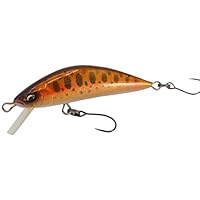 Ray Tune（レイチューン） DP45RS セット backlash_y-4589908319118
