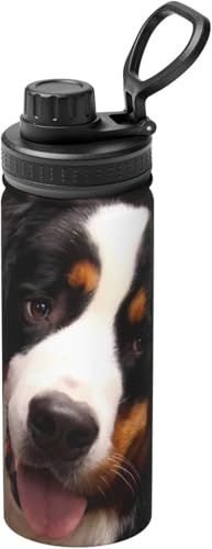 }OJbv RrjJbv ^fM  XeX d\ ۉ ۗ ԍڃJbv g 530ml j̎q ̎q  l q v[g