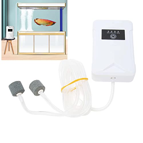 Pompe à oxygène d'aquarium USB anti coupure de courant double sortie