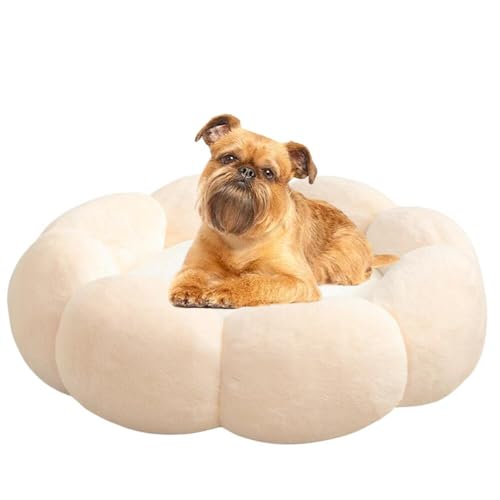 Lifetips xWAOtH xM[O ӂӂybgxbh Lp 􂦂 ~ ~p NbV ʔNΉ ې􂢉 Lpxbh ~p ~ߒ 􂦂Jo[ ᔽNbV iVFsNj