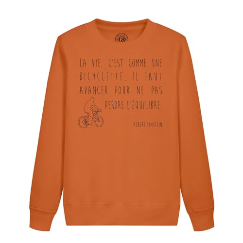 Sweatshirt Albert Einstein enfant : le cadeau d'anniversaire original et intelligent