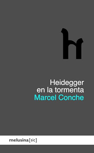 Heidegger en la tormenta (Spanish Edition)