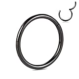 PEAKLINK G23 Titanio 14G 16G 18G 20G segmento articulado Clicker nariz aro aro cartílago Pendientes Cuerpo Piercing