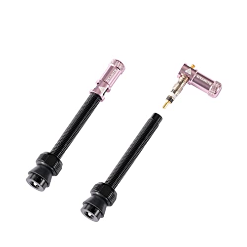 Valve rose 60mm Granite Juicy Mamelon et outil démonte-obus pour pneu VTT