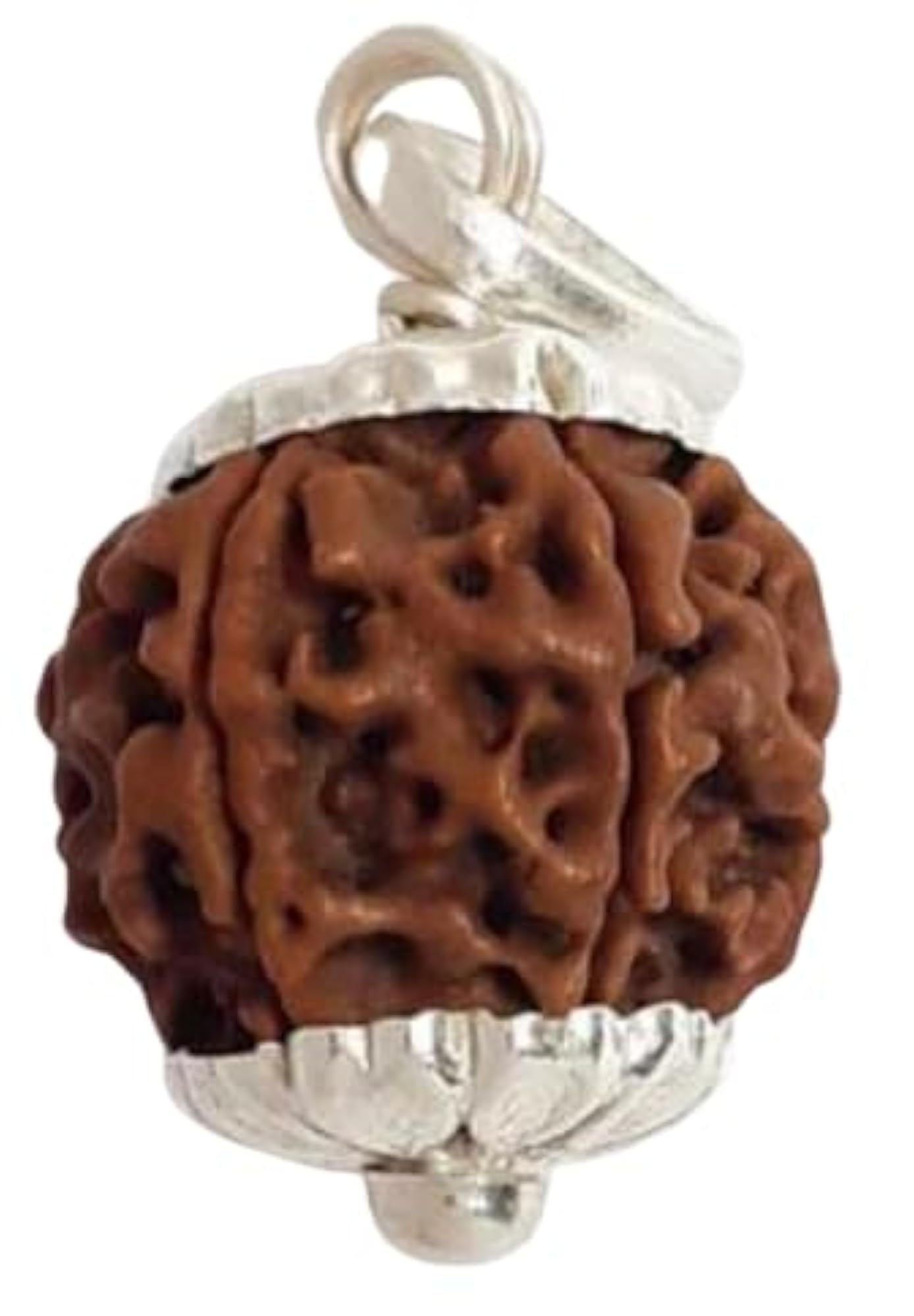 Five Mukhi Rudraksha Bead Locket, Original Certified