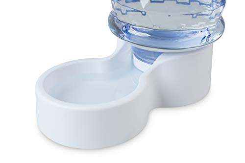 Petfusion H2O Gravity Pet Water Dispenser. Durable 2.5 Gallon Water Feeder. Automatic Water Station For Cats & Small, Medium, Large Dogs, Transparent (Pf-Gw1) #TOP6