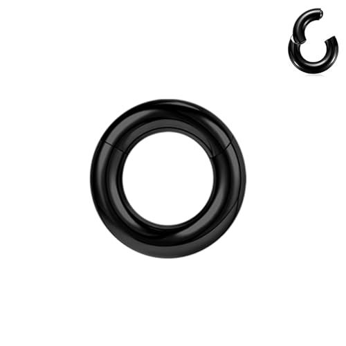BodyAce Hinged Segment Clicker PA Rings, 2G-12G Large BCR Barbells, Surgical Steel Septum Nose Ring, Black Ear Gauge Earrings Hoops [Black,8G,Hoops:10mm]