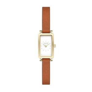 Skagen Hagen Micro SKW3149