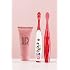 B. Designs One Direction Singing Tooth Brush (Live While were Young)/Limited Edition
