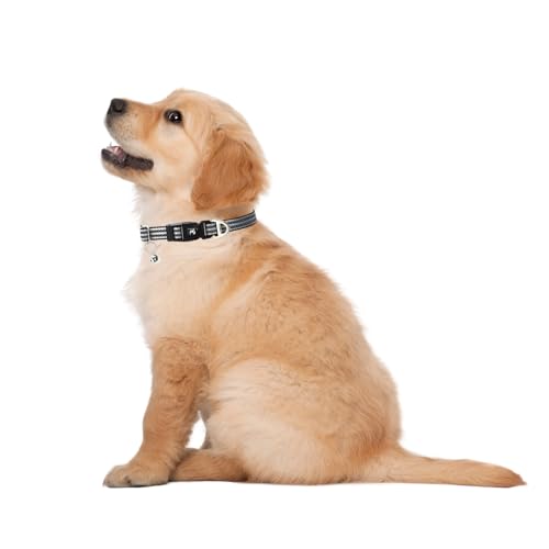 Collar Reflectante para Perros Pequeños XS y S Nylon Ajustable miniatura 6