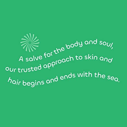 Seaweed Bath Co. Detox Body Scrub, Rosemary Mint Scent, 6 Ounce, Sustainably Harvested Seaweed, French Sea Clay, Coffee Extract #TOP6