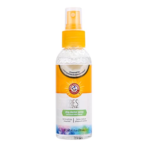 ARM & HAMMER Kokosnuss- und Minze-Zahnpflegespray für Hunde - Reduziert Zahnbelag und Zahnstein, Erfrischt den Atem, Zahnfleisch- und Zahnreinigung. Dentalspray für Hunde und Welpen (118 ml)