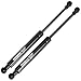 Maxpow 2pcs 6436 Compatible With Ford Focus SEDAN 2005 2006 2007 2008 2009 2010 2011 Trunk Lid Gas Lift Support Struts Without Rear Spoiler