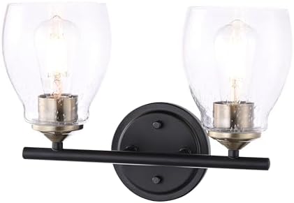 Minka Lavery 2432-878 Winsley Wall Sconce, 2-Light, 120 Total Watts, 14-in H x 9.88-in W, Coal Black and Stained Brass