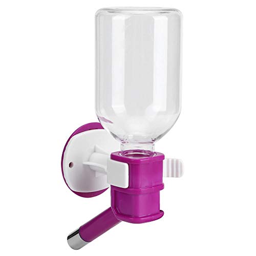 Garrafa de água potável para cachorro Fonte para beber para gatos, Fonte para cachorro para cães, Bo