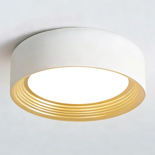 Suenigle 11.81 Inch Dimmable Modern LED Flush Mount Ceiling Light Fixture