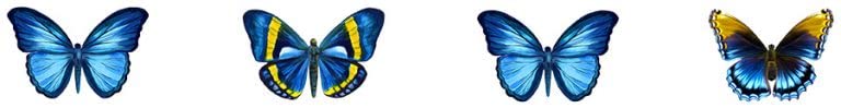 Mosaicos de Porcelana para Piscina Butterfly 3" X 24" miniatura 1