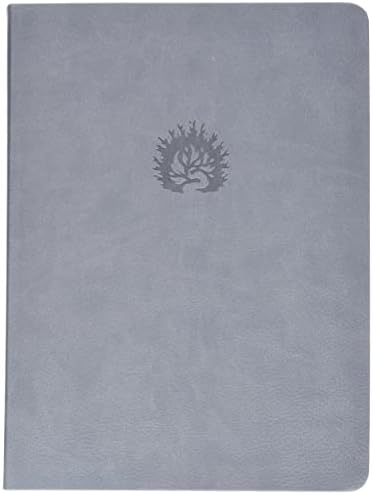 NKJV Reformation Study Bible, Light Grey Leather Bound – 15 Mar. 2016