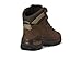 Lowa Women's Renegade EVO GTX Mid Hiking Boot, Espresso, 7