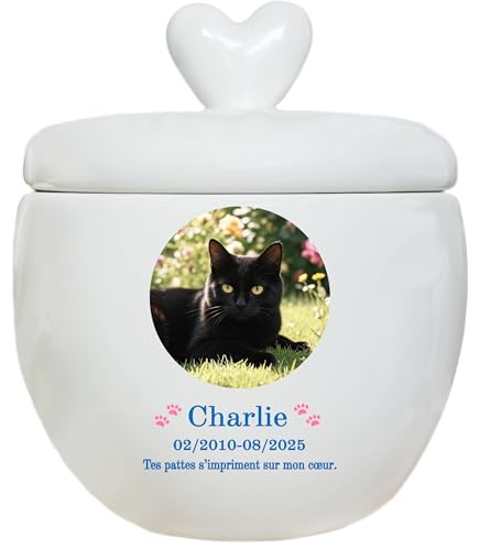 Urne personnalisée pour animaux de compagnie, urne à cendres de chien, urne pour chat, boîte à souvenirs en céramique, personnalisation faite à la main (Cendres de petite taille ≤10 kg (pas d’os))