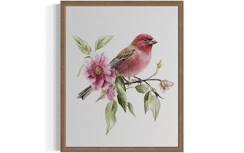 House Finch Art Print Poster, Bird Nature Floral Botanical Wildlife Vintage Wall Art Paintings Artwork for Bedroom Bathroom Living Room Decor 96B (House Finch, 14"L x 11"W, Wood Frame)