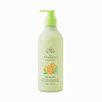 Amazon | 15/e organic ザ・シャンプー (シトラス) | 15/e organic