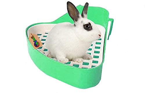 DreamAuro Jumbo Size Litter Tray Cum Potty Training with Scoop for Rabbit, and Hamster (Green) (B07WZM3TBT) Amazon Price History, Amazon Price Tracker