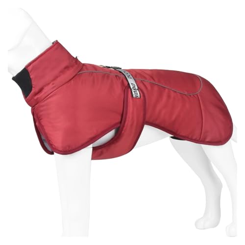 ~pg ^ ^p ˑf h ybgp _EWPbg uh[ t`uhbO R[g ߑ(Red,XL)