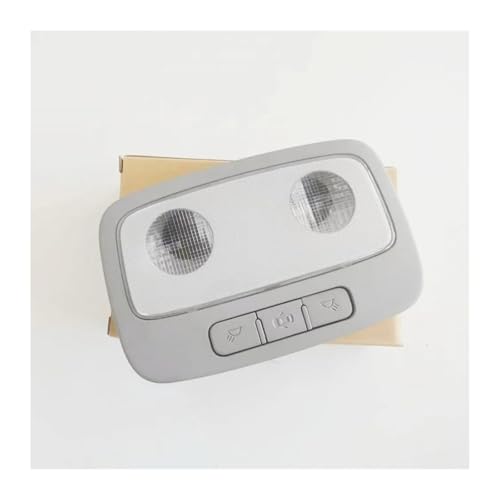 Lámpara de techo interior y conjunto de consola central gris para Hyundai IMax H1 3
