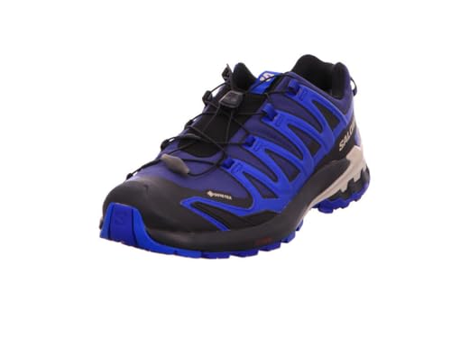 SALOMON Xa Pro 3d V9 Gtx L47270300, Botas de senderismo - 42 EU