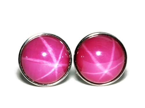 Salish Sea Inspirations Created Pink Star Ruby Titanium Hypoallergenic Stud Earrings