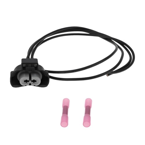 LT Easiyl Câble Harnais Phare 12V 2 Broches Compatible avec Nissan et Lampes Halogènes Type H9 (50cm)