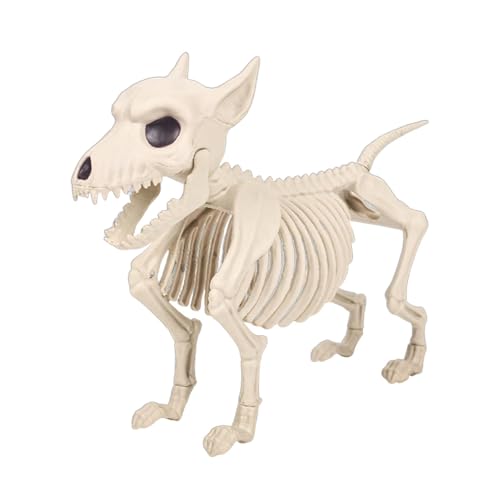 Fenteer Esqueleto de Perro de Halloween de Cuerpo Completo de 30 X 24 Cm para Enseñar Piezas de Exhibición de Animales Resistentes Huesos Esqueleto de a