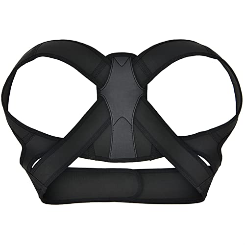 pobNT|[gxg wp pxg V_[u[X obNT|[g (F : ubN, TCY : S) (ubN L) charitable