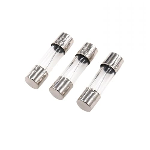 Kit fusibles en verre 5x20mm 2,5A pour réparer le petit électroménager