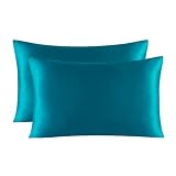 2-Pack Silk Pillow Cover Zippered Multicolor Multiple Sizes(Champagne,40 x 60 cm (Pack of 1))