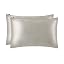 Silvergray
