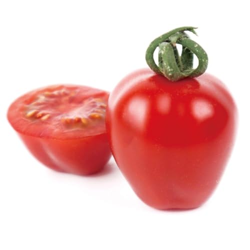 接木野菜苗 ミニトマト 接木F1TYアップルベリープレミアム 2株 / 国華園 26年春商品