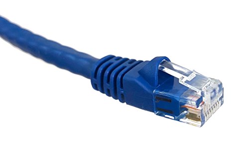 Micro Connectors 1 ft CAT 6 Molded Snagless RJ45 UTP Networking Patch Cable (Blue, 50 Pack)