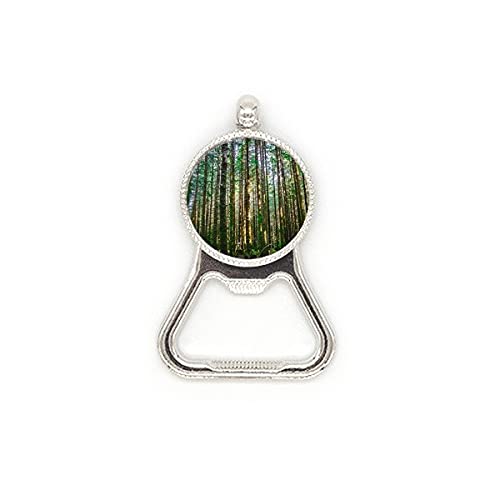 Décapsuleur acier inoxydable haute qualité gravure paysage forestier durable
