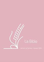 Download Bible semeur poche couverture vivella rose zip PDF