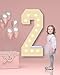 4FT Plastic Marquee Numbers 2 - Light up Numbers Are Made from Corrugated Plastic Board - Quick Assembly Without Tools, Disassembled Components Can Be Used for Photo Wall Decoration, Yard Sale Signs